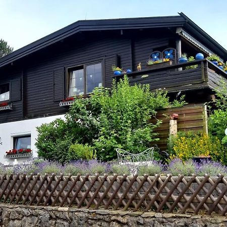 Haus Harzer Bergblick All Inklusiv Bad Lauterberg Exteriör bild