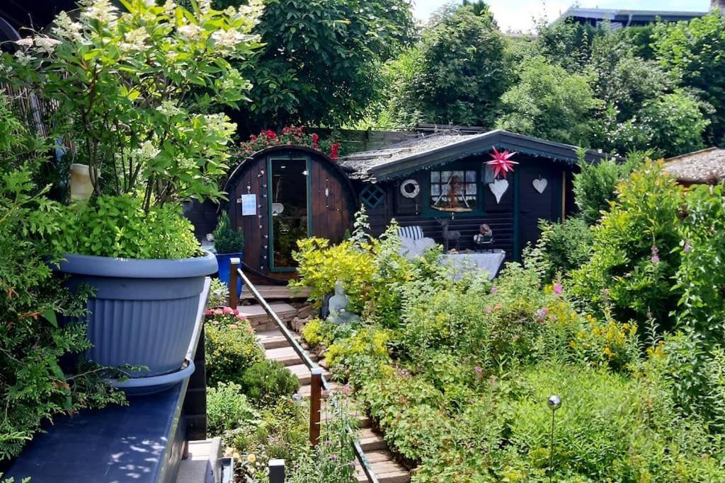 Haus Harzer Bergblick All Inklusiv Bad Lauterberg Exteriör bild